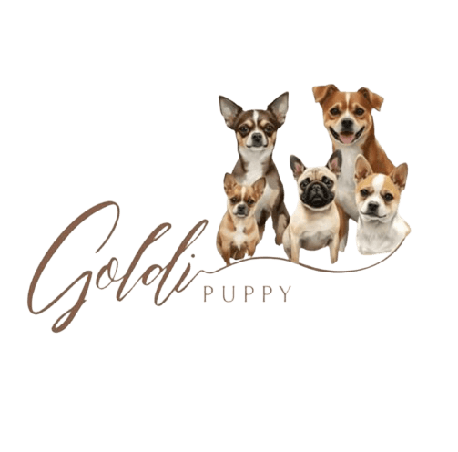 goldipuppy.com logó